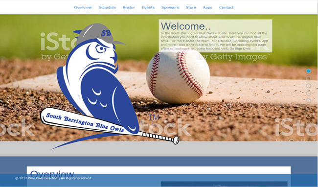 Blue Owls Baseball
